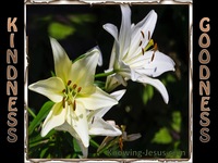 Harmonious Duet of Kindness and Goodness